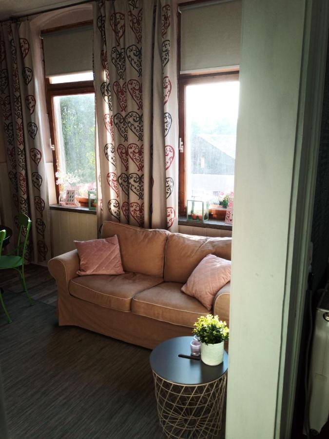 Zur Friedrichsruh Bed and Breakfast Oelsnitz  Exterior foto