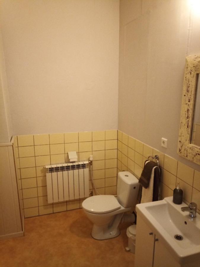 Zur Friedrichsruh Bed and Breakfast Oelsnitz  Exterior foto